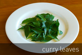 Curry Leaves